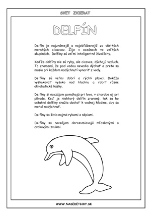 Delfíny - informácie