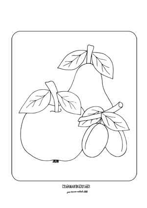Jablko, hruška a slivky - obrázky na okno