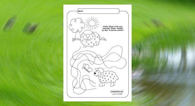 Ovečka hľadá cestičku