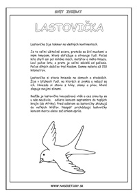 Lastovička - encyklopédia zvierat