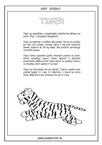 Tiger - encyklopédia zvierat