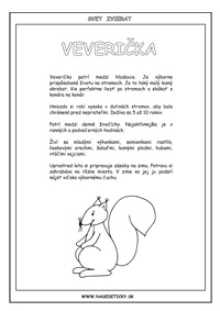 Veverička - encyklopédia zvierat