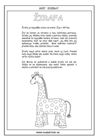 Žirafa - encyklopédia zvierat