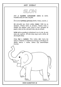 Slon - základné informácie o slonovi