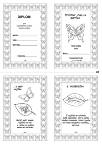 Životný cyklus motýľa - knižka